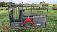 PAINTED METAL CATTLE CRUSH - 2
