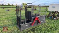 PAINTED METAL CATTLE CRUSH - 3