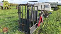 PAINTED METAL CATTLE CRUSH - 4