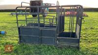 PAINTED METAL CATTLE CRUSH - 6