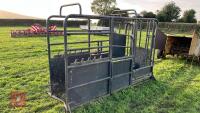 PAINTED METAL CATTLE CRUSH - 7