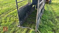 PAINTED METAL CATTLE CRUSH - 8