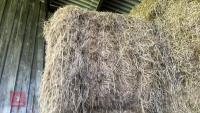 28 SQUARE BALES OF HAY (BIDS PER BALE) - 5
