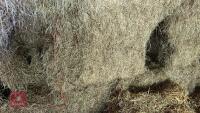 28 SQUARE BALES OF HAY (BIDS PER BALE) - 6