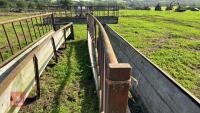20' FREESTANDING CATTLE FEED TROUGH - 3