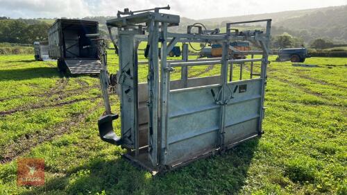 BATEMAN GALVANISED CATTLE CRUSH