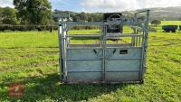 BATEMAN GALVANISED CATTLE CRUSH - 2