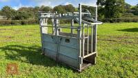 BATEMAN GALVANISED CATTLE CRUSH - 3