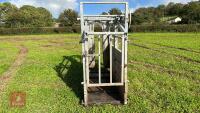 BATEMAN GALVANISED CATTLE CRUSH - 4