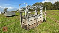 BATEMAN GALVANISED CATTLE CRUSH - 5