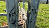 BATEMAN GALVANISED CATTLE CRUSH - 11