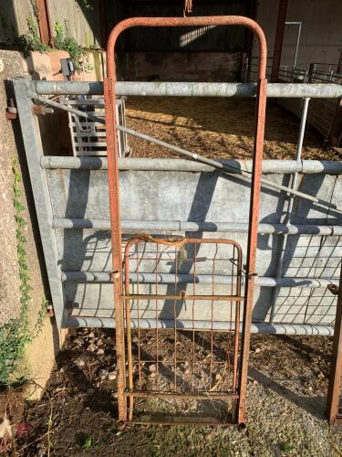 GUILLOTINE GATE FOR SHEEP RACE