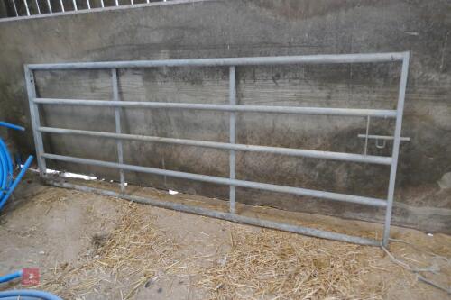 10' GALVANISED YARD GATE (4)