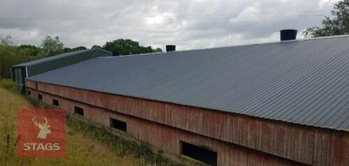 40 USED BOX PROFILE ROOFING SHEETS (1)