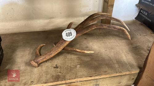PAIR OF STAG ANTLERS