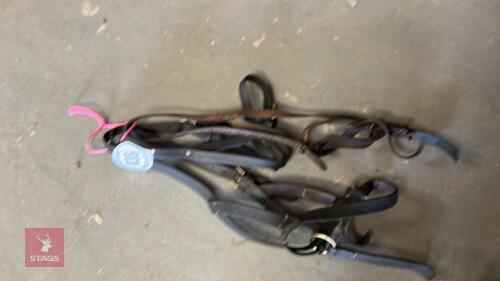 3 LEATHER FOAL SLIPS