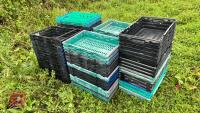 LRG QTY OF BASKETS - 3