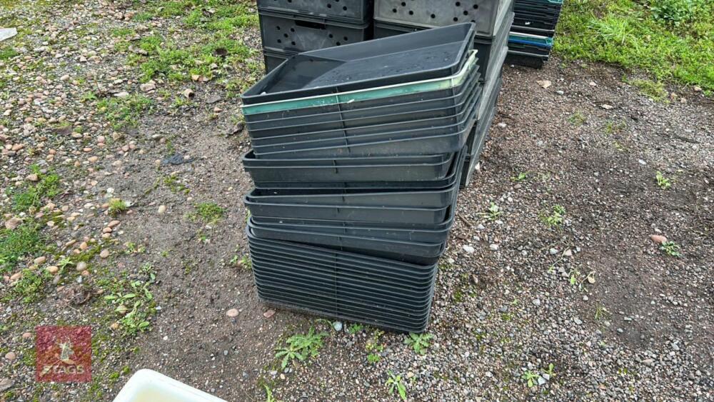 LARGE QTY OF POTTING TRAYS