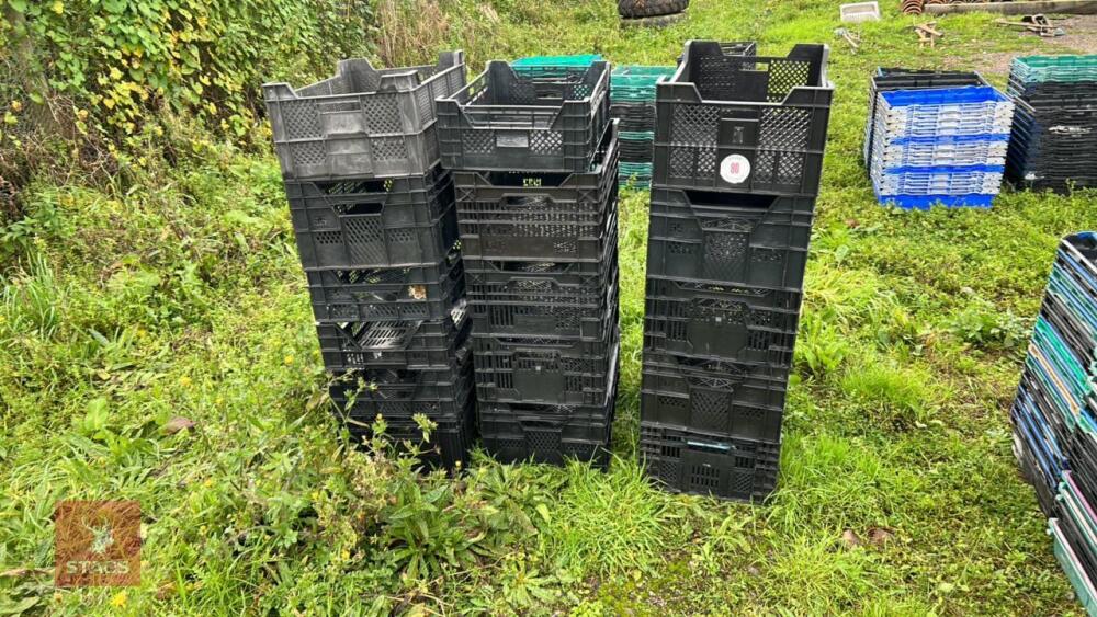 15 PLASTIC STACKING TRAYS