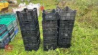 15 PLASTIC STACKING TRAYS - 3