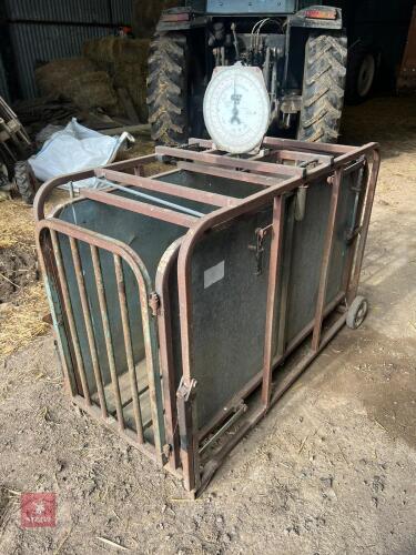 LAMB/PIG WEIGH CRATE