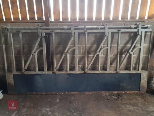 4 ADULT COW SELF LOCKING YOKES