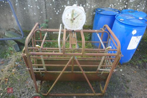 SALTER WEIGH SCALES (8)