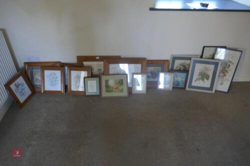QTY OF PICTURES (131) *Lot Description Updated *