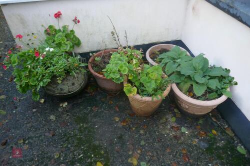 5 PLANT POTS