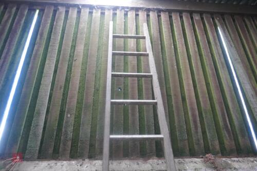 10' 6'' LADDER (98)