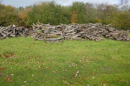 LARGE QUANTITY OF FELLED TIMBER