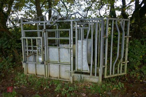 IAE GALVANISED CATTLE CRUSH