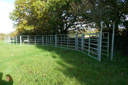 IAE PORTABLE CATTLE HANDLING SYSTEM