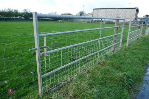 11' GALVANISED GATE