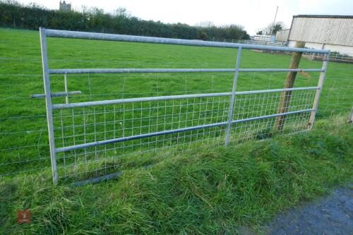11' GALVANISED GATE