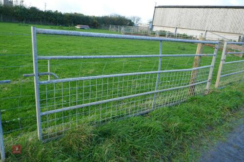 11' GALVANISED GATE