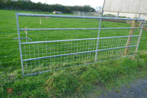 11' GALVANISED GATE