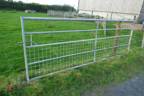 11' GALVANISED GATE