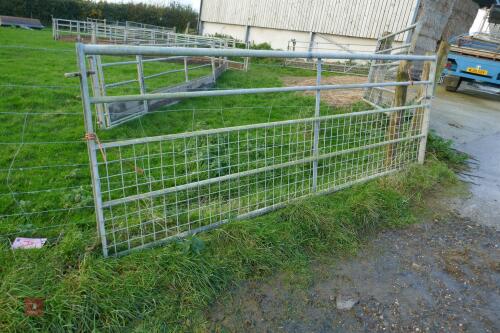 11' GALVANISED GATE