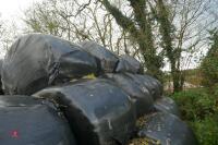 25 BALES OF SILAGE(BIDS PER BALE) - 3