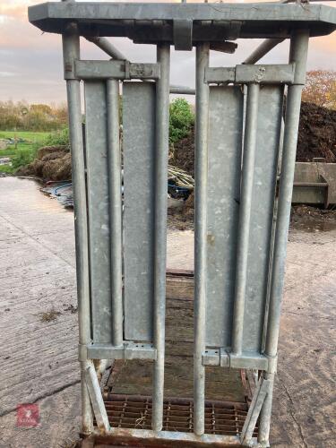 CATTLE YOKE/ CRUSH