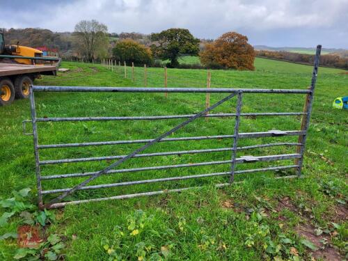 10' GALVANISED FIELD GATE