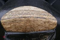 50 ROUND BALES OF HAYLAGE(BIDS PER BALE) - 3