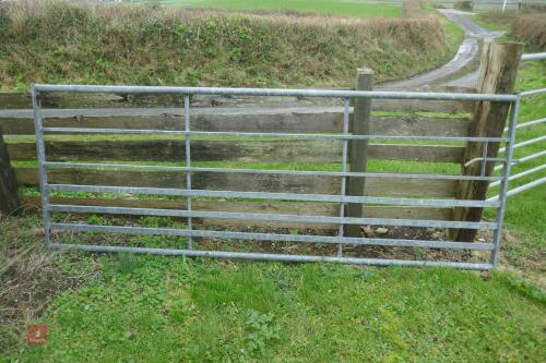 10' GALVANISED FIELD GATE