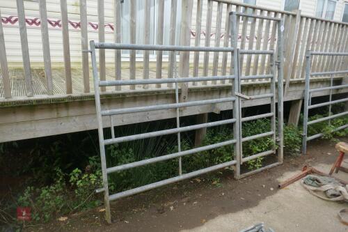 GALVANISED 8' RACE GATE (160)