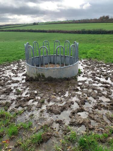 OPEN RING FEEDER
