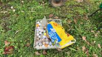 GOLF BALLS