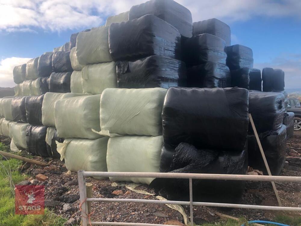 135 WRAPPED SQUARE BALES OF SILAGE