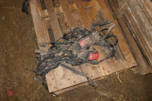 4 RAM RADDLE HARNESSES