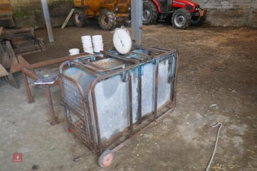 LAMB/PIG WEIGH CRATE